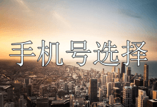 验证ChatGPT手机号时应该如何选择呢?是不是只能用美国的号码?-ChatGPT博客