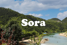 Sora正式发布！可通过一段文字描述、一张图片或者一段视频生成目标视频，ChatGPT Plus和Pro用户免费使用-ChatGPT博客